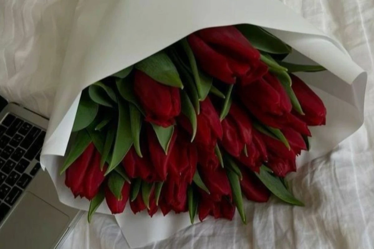 عکس ستاره، ماه یا خورشیدی؟