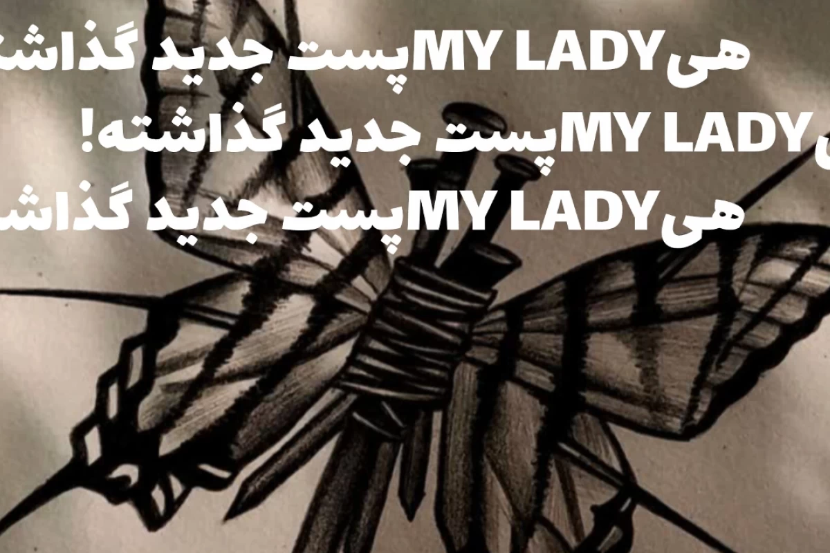 عکس کلکسیون یک هنرمند P2