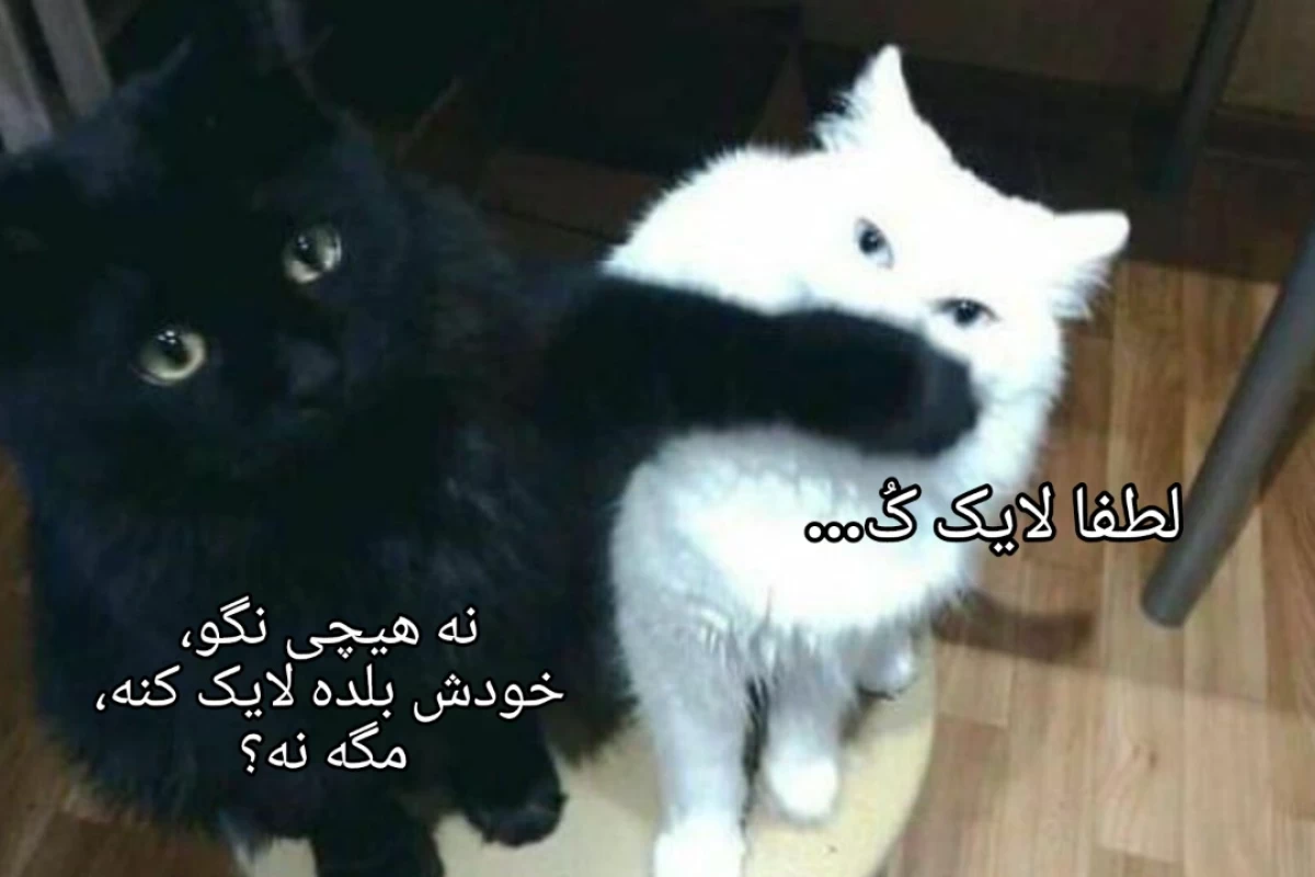 عکس از چیزی که میترسیدم سرم اومد