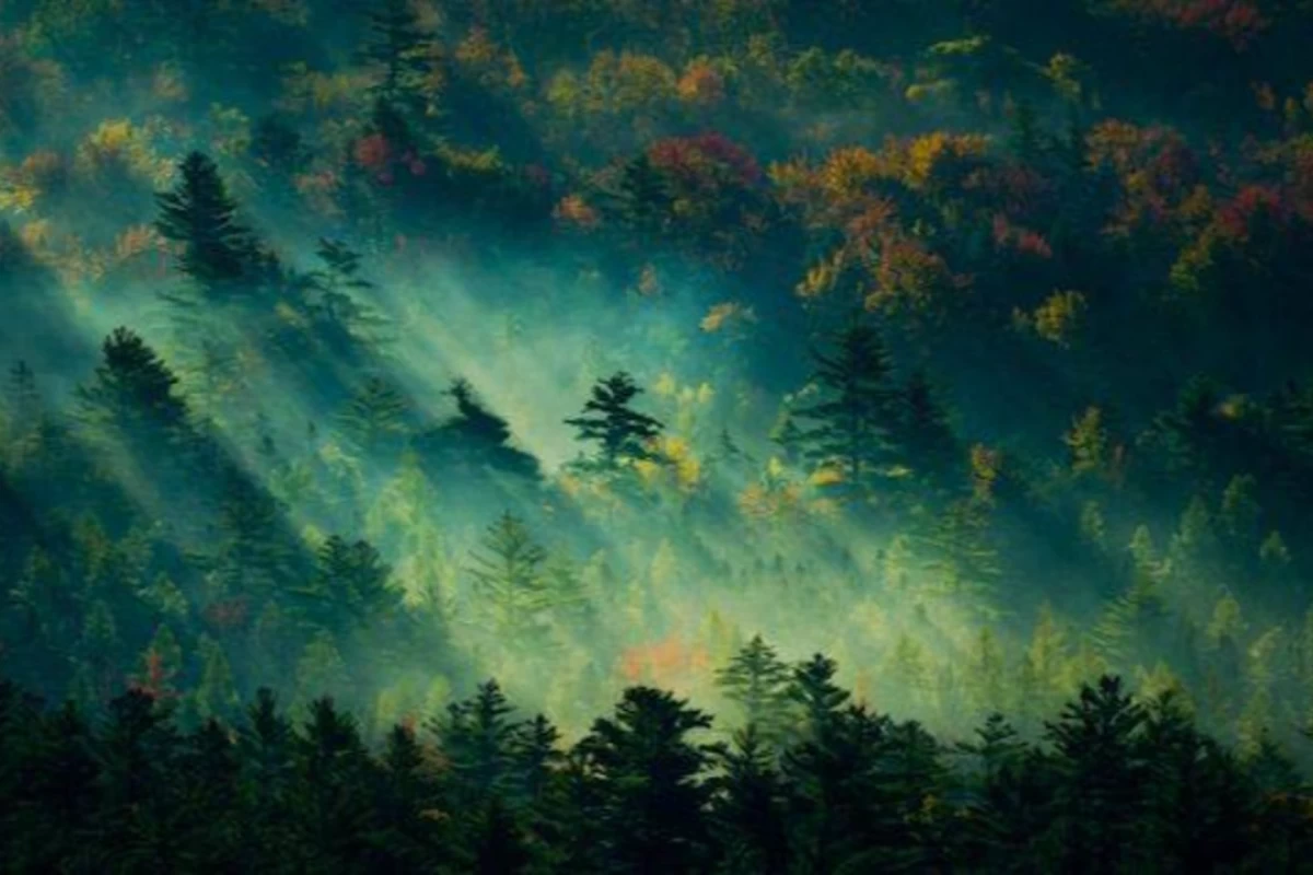 عکس بیوگرافی ی تنها