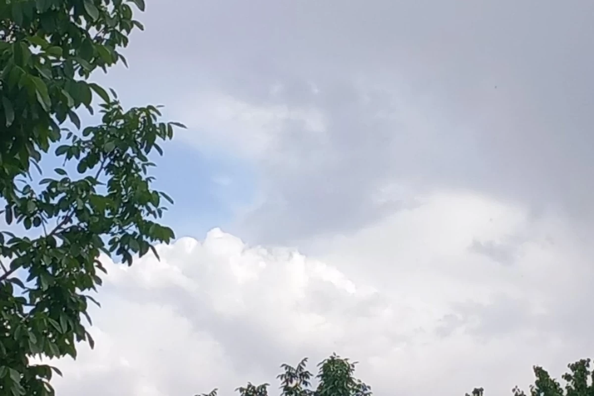 عکس نامه‌ای برایِ غریبه.