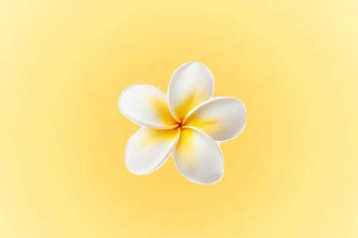 عکس پوست خوب میخوای؟