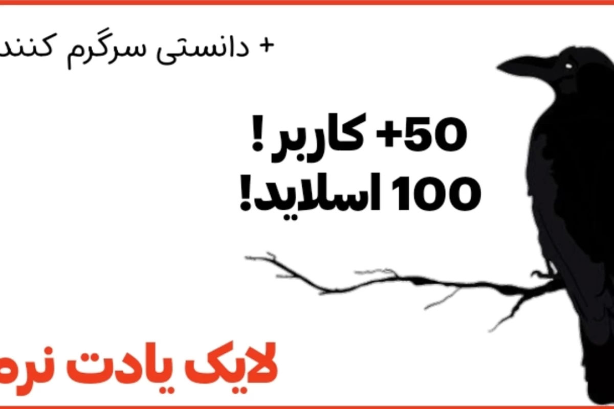 عکس کاربرا از دید یک کلاغ | ۱۰۰ اسلایدی