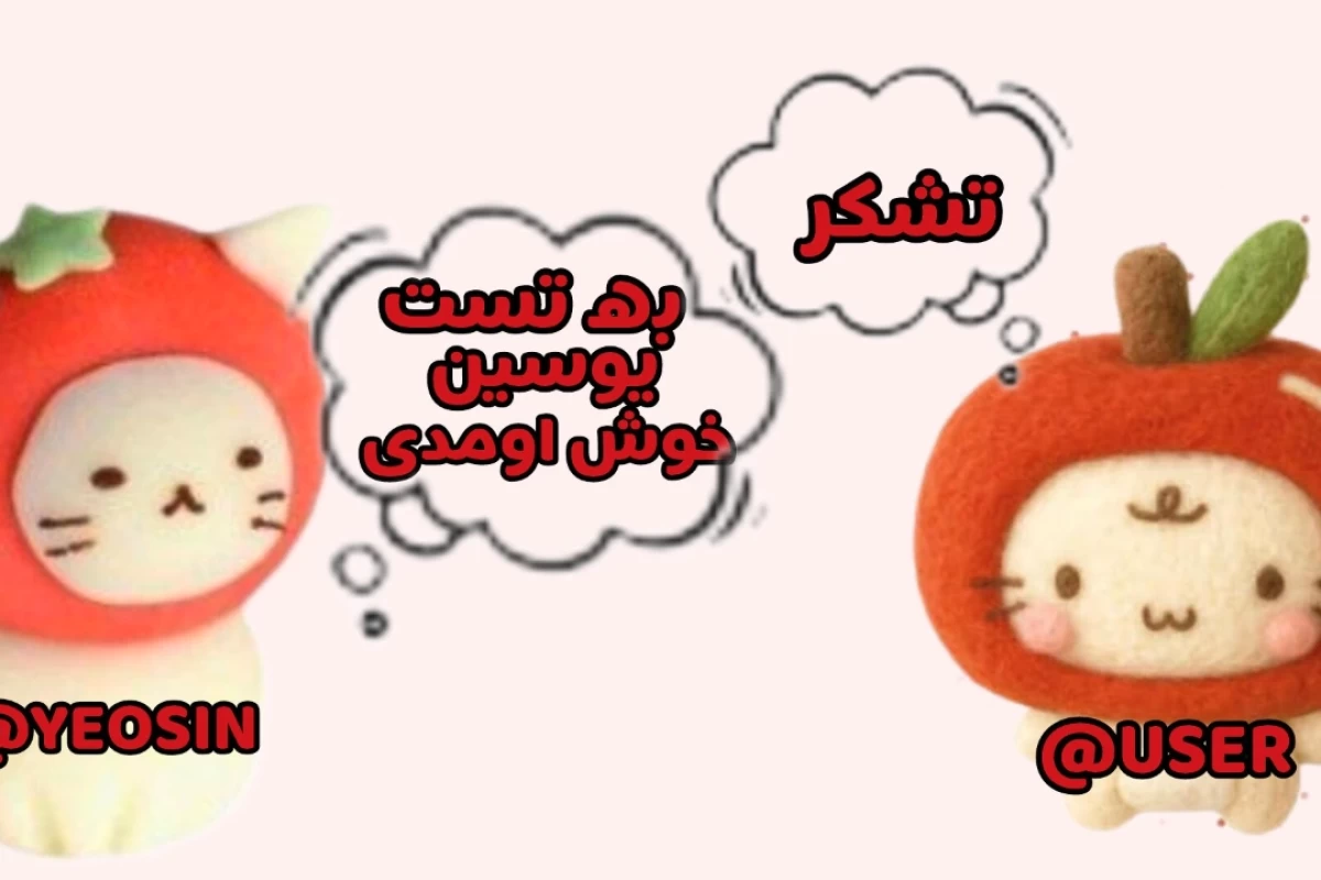 عکس کاربرای تستچی موقع تست ساختن؟!