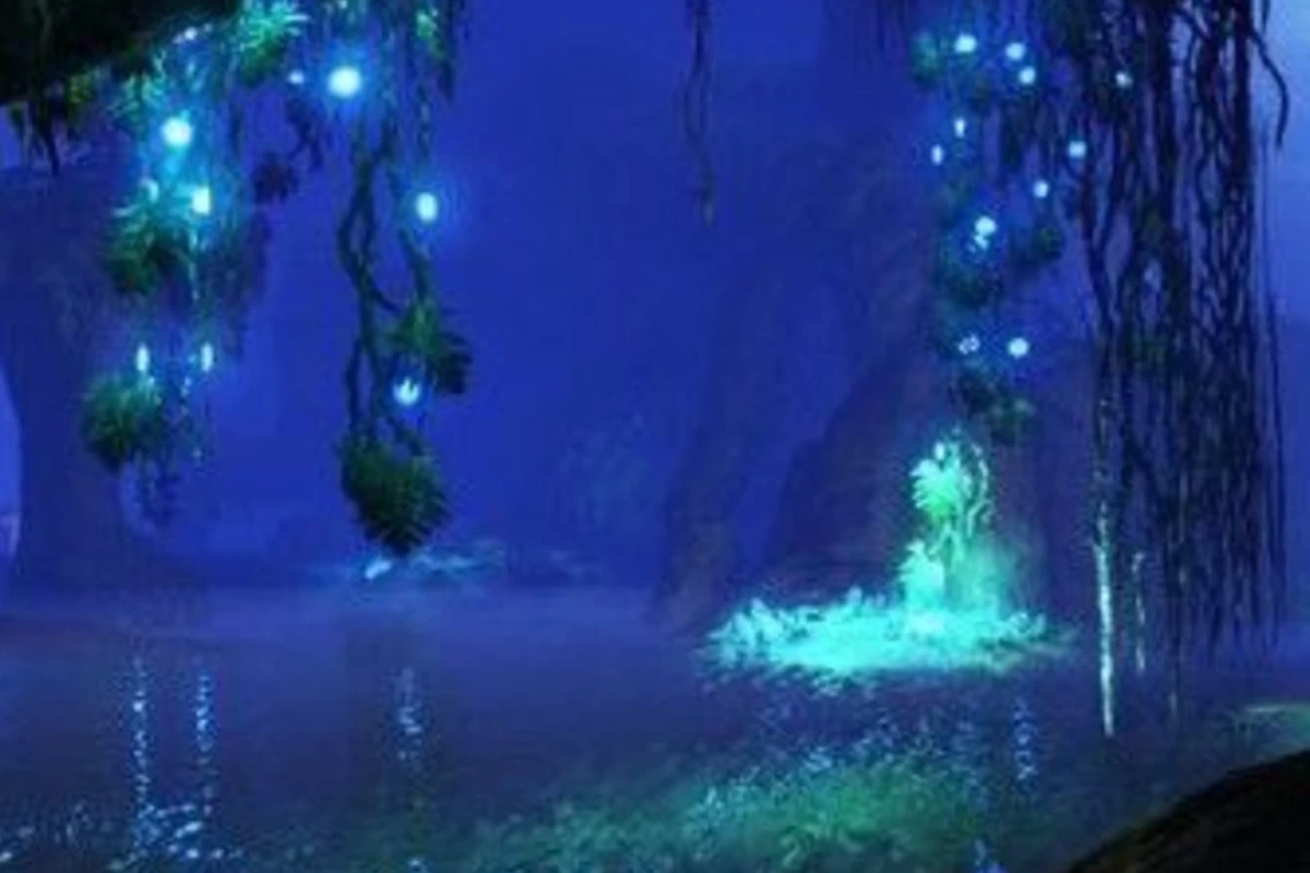 عکس هیچ‌کس نفهمید..