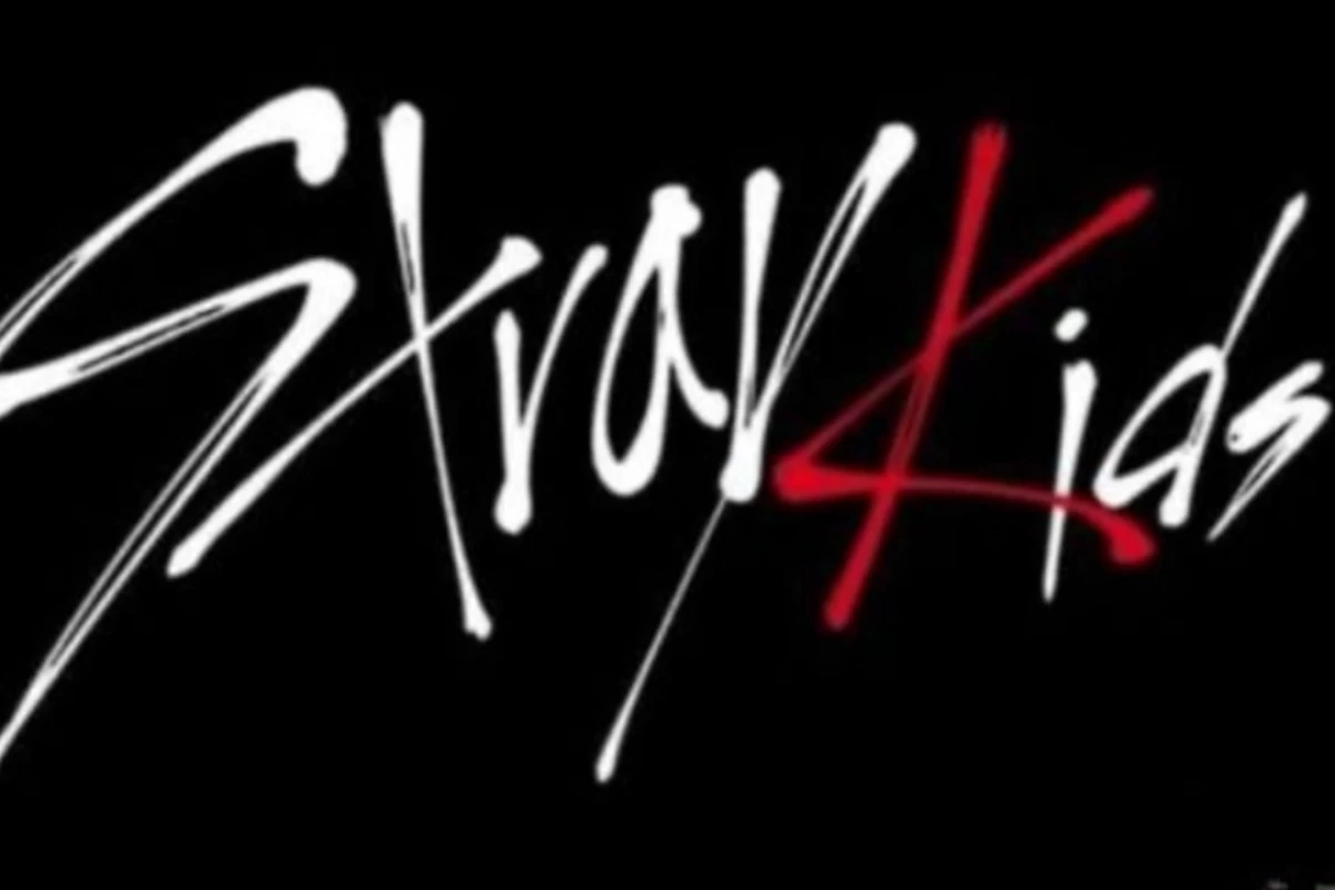 عکس آپدیت از  stray kids