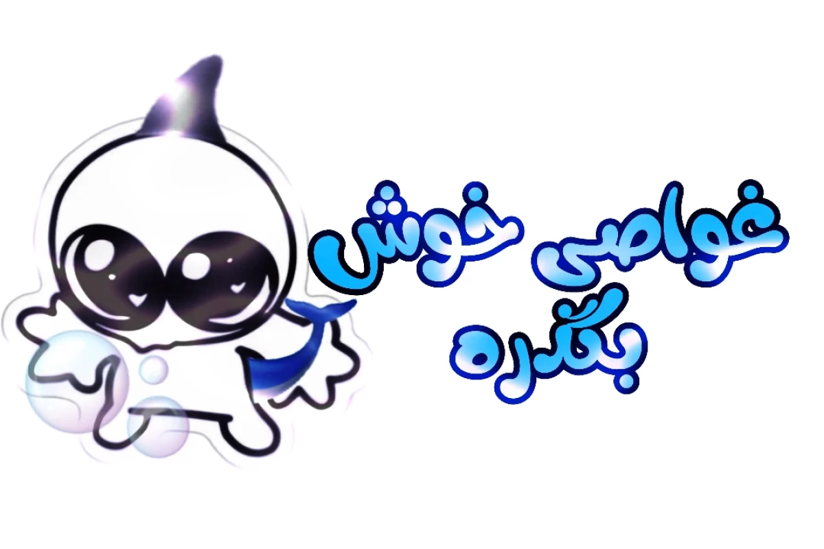 عکس 🗞️: بریم غواصی کنیم!