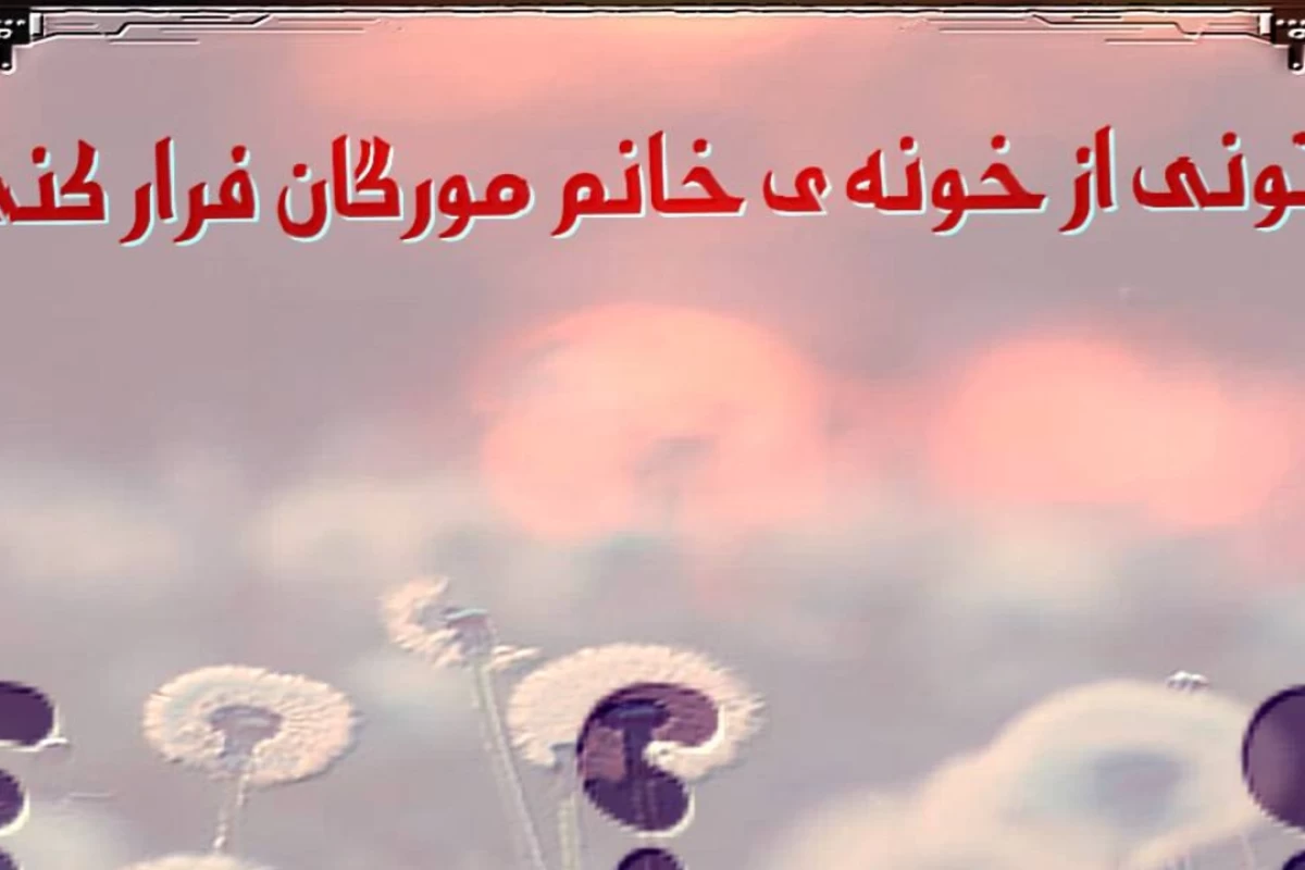 میتونی از خونه ی خانم مورگان فرار کنی؟(p5)