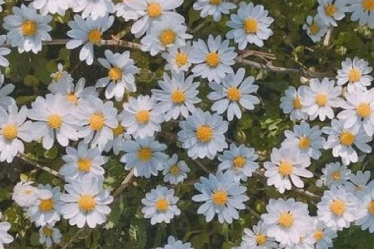 عکس نکاتی برای دختر ها