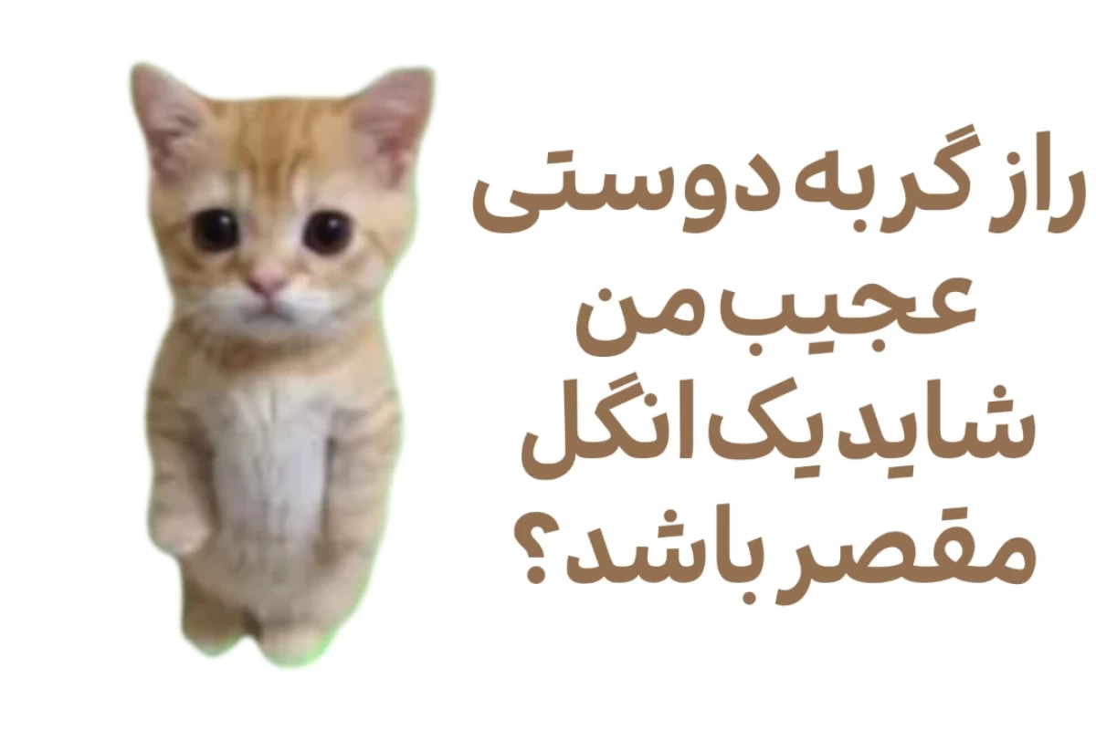 عکس فرمانده خاموش رفتار ها