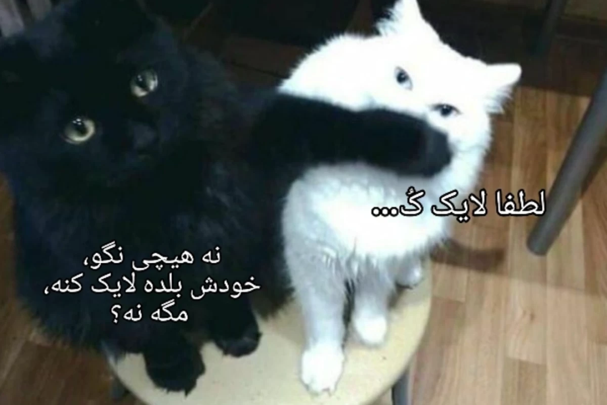 عکس داستان واقعی انمیشن های دیزنی...