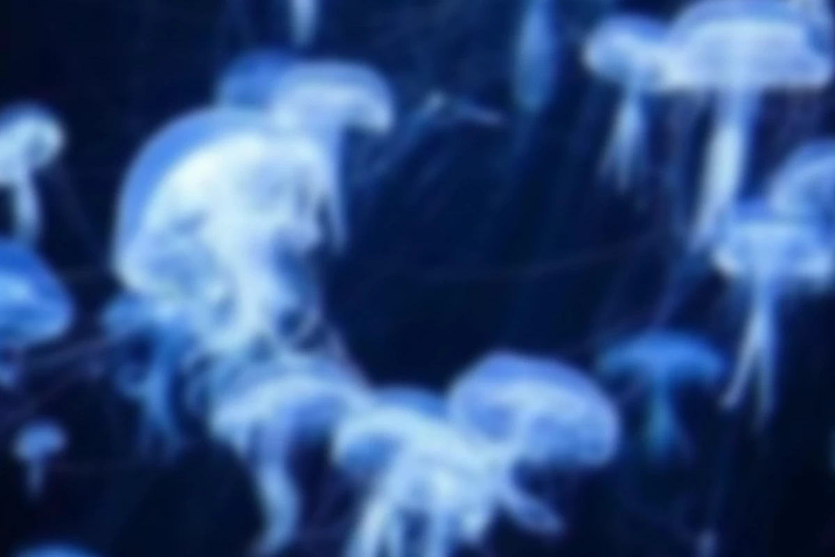 عکس 🌌ɯ𝗁σ 𝗂ʂ 𝗆ҽ?!