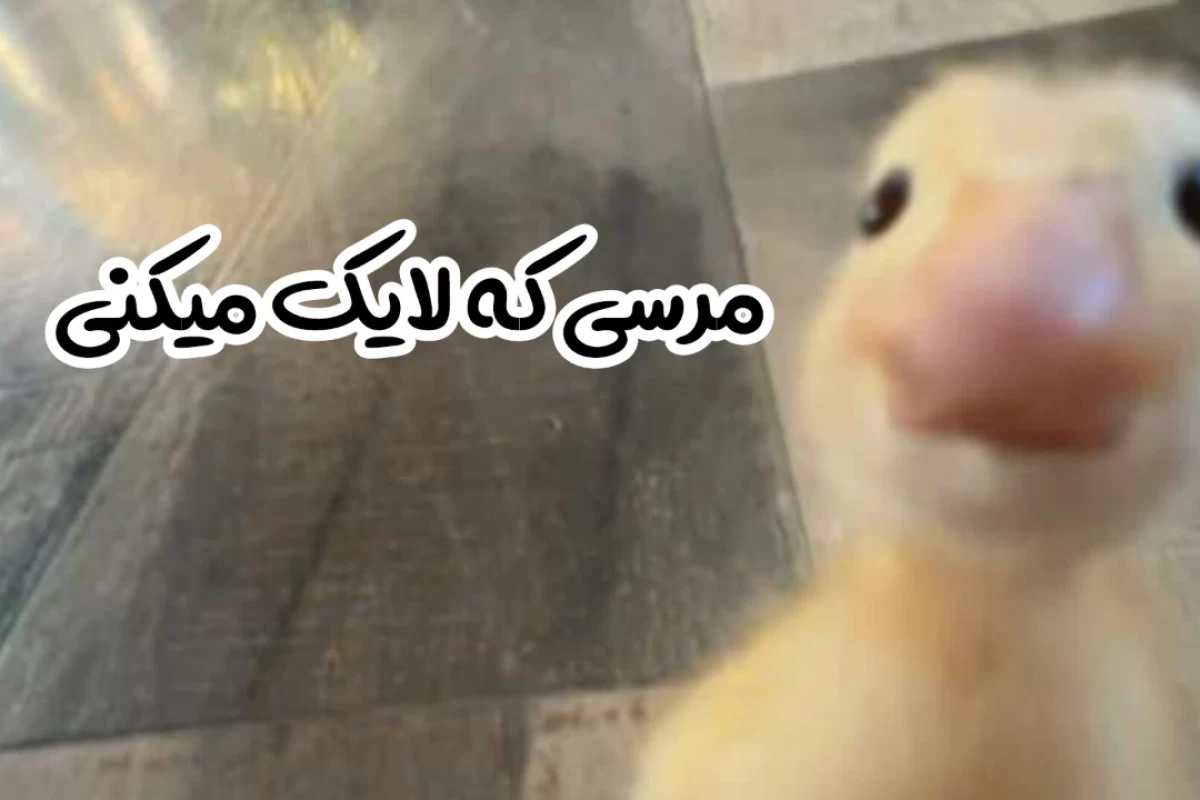 عکس کشف من:چقدر درباره ی خودت کنجکاوی؟