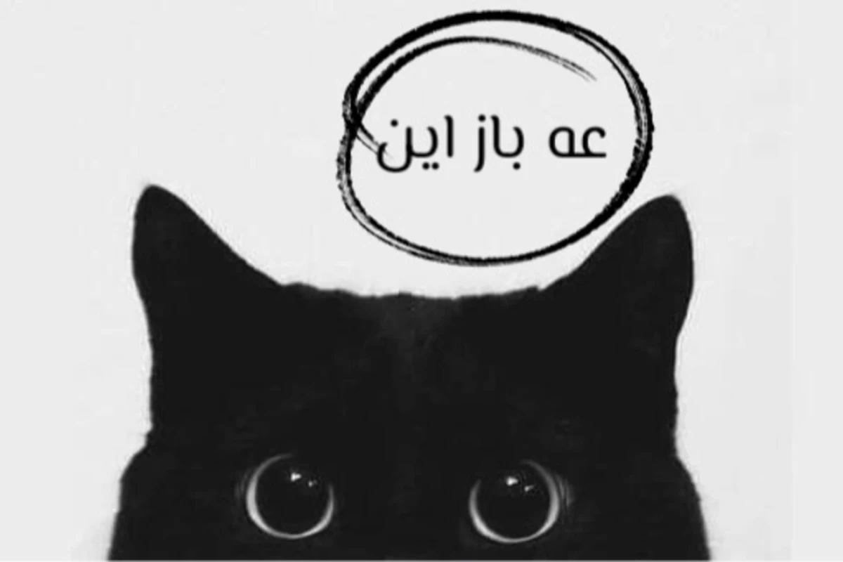 عکس اون کجاست!؟
