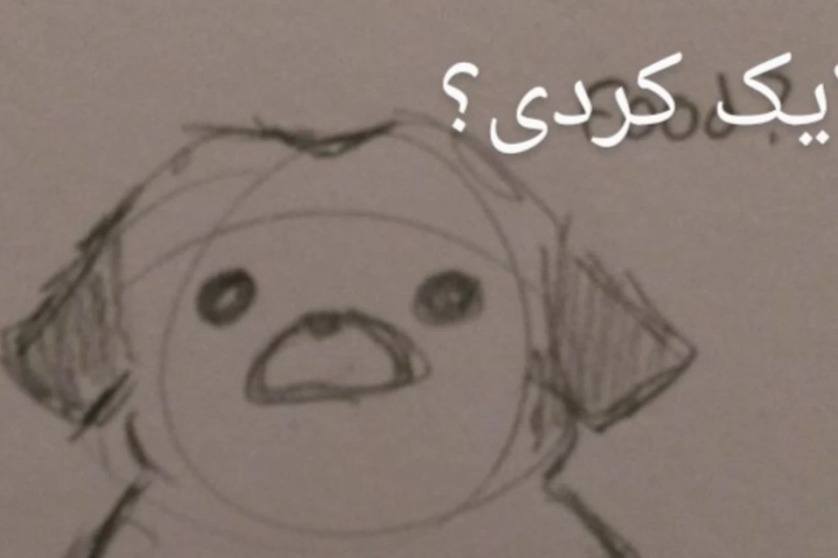 عکس زندگی عجیب من!6