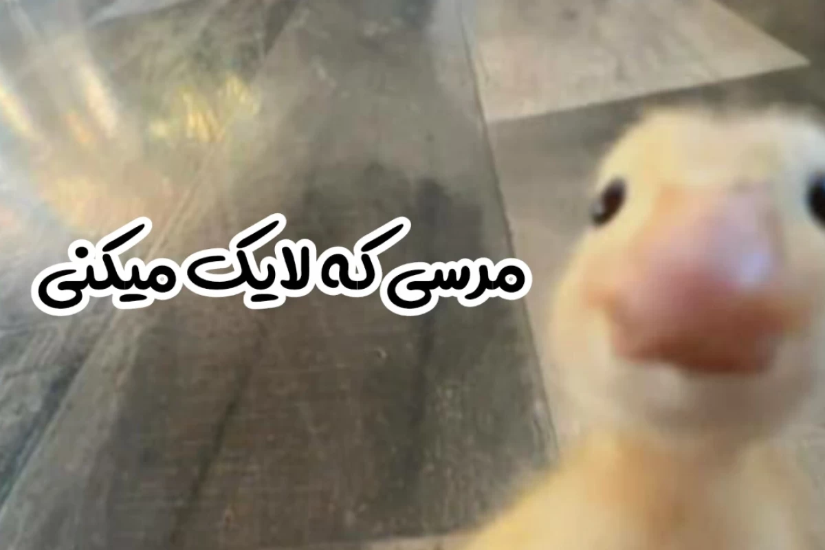 عکس شما ی بغل یه من بدهکاری!
