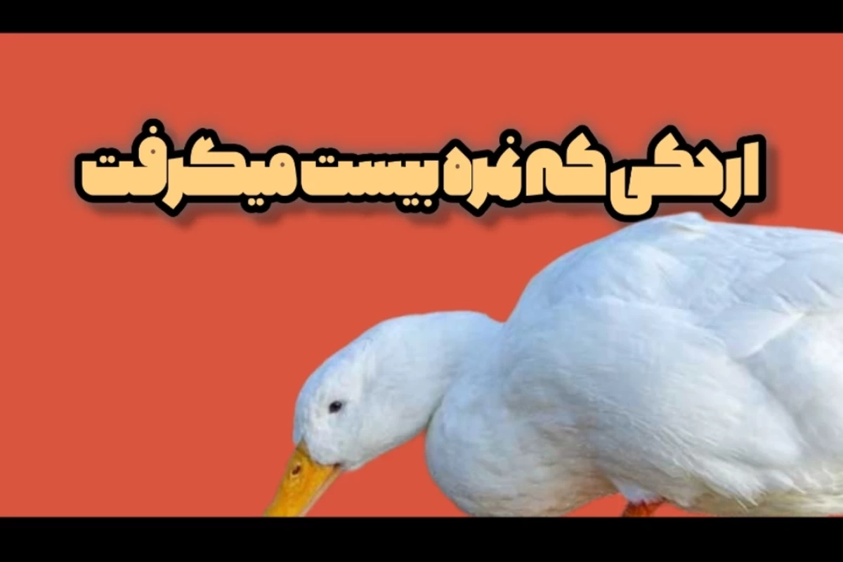 عکس "اردکی که نمره بیست میگرفت"