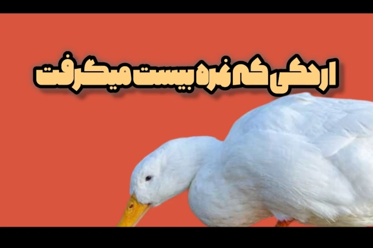 عکس "اردکی که نمره بیست میگرفت "p3