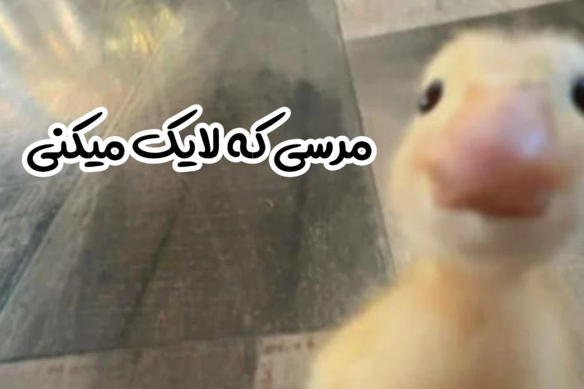 عکس کی گفته x بده؟