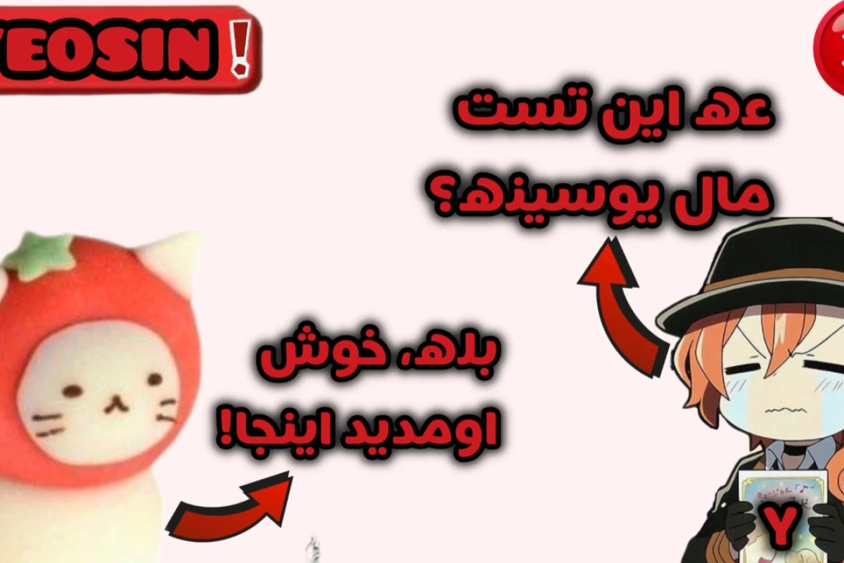 عکس تستچی در دید یک غیر کاربر؟!