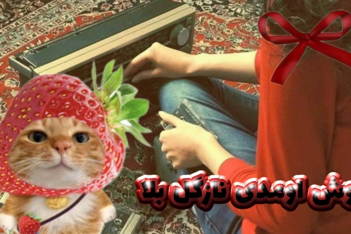عکس 💥;جیسونگعلی کیست؟