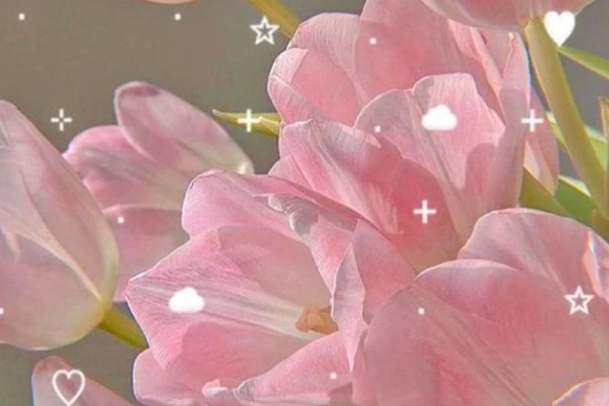 عکس بیوگرافیم