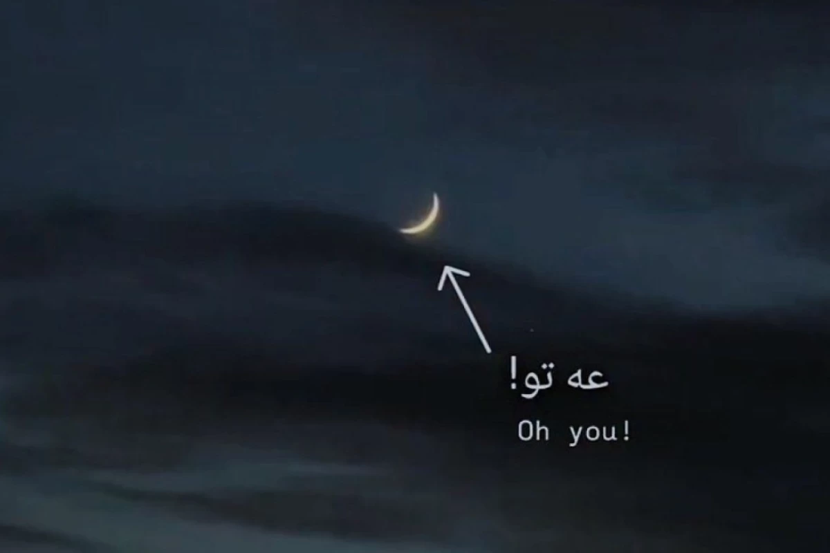 عکس این دوتا رنگ باهم²