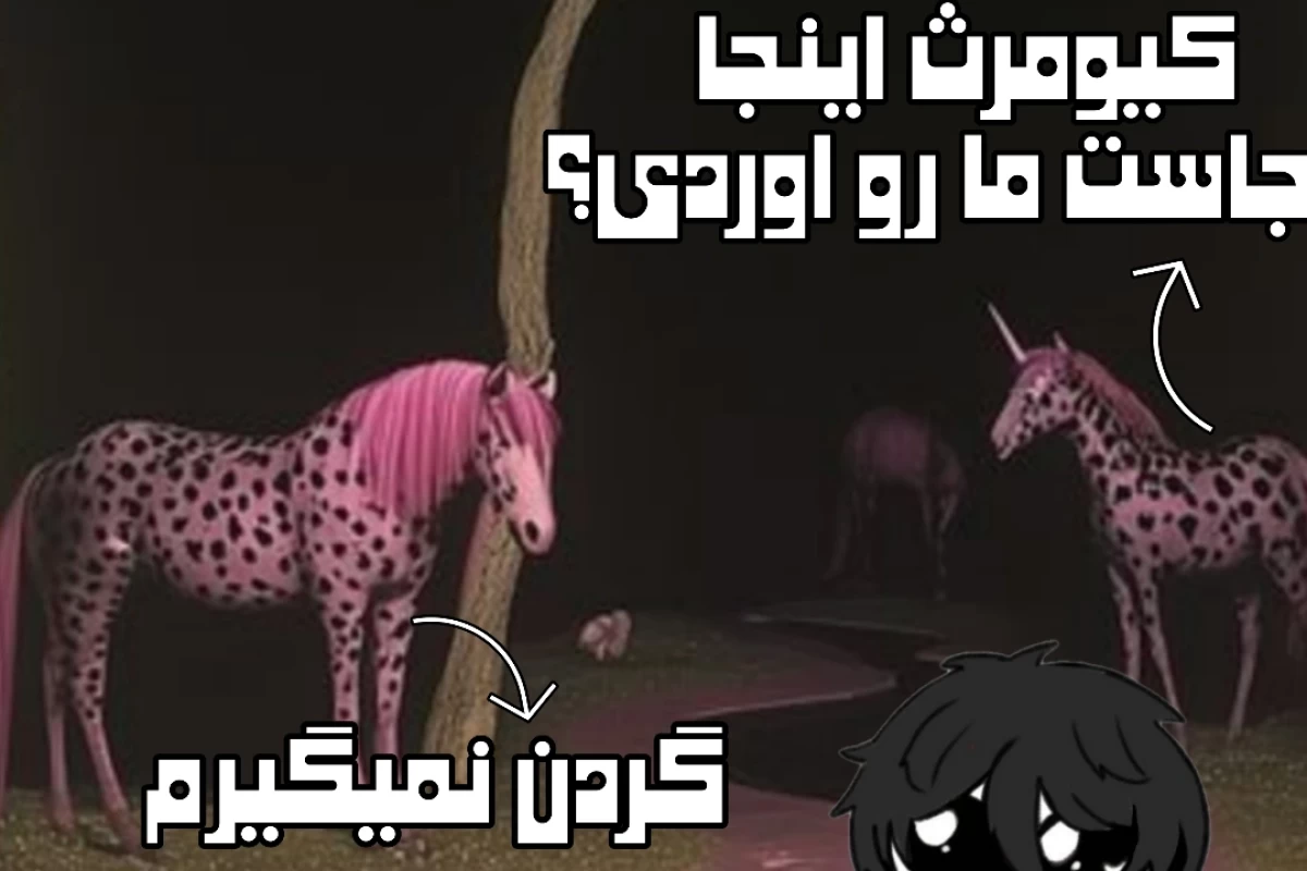 عکس هی تو، وقت خوابه!