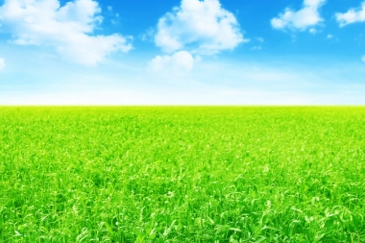 عکس 🍪:هیچ چیزی مثل اون نمیشه!