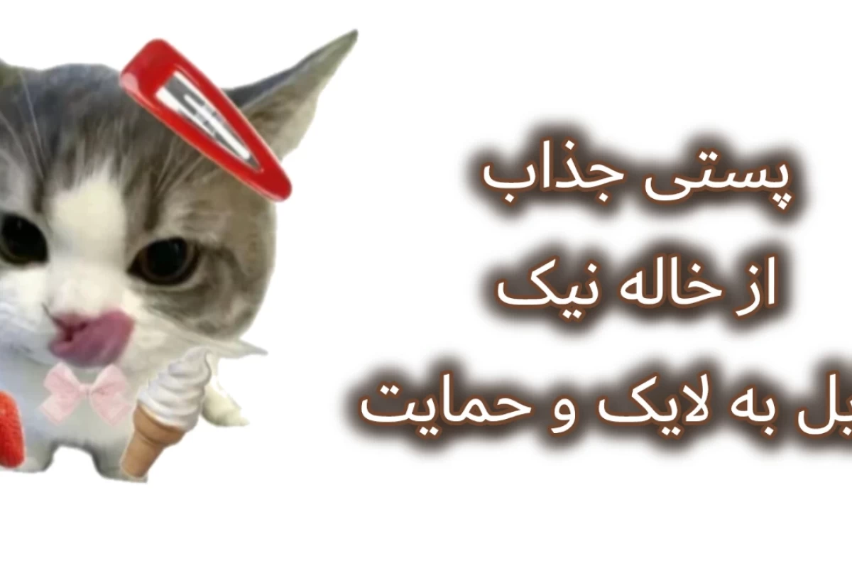 🍥 : از الان شکستت رو تضمین میکنم! ( فان *)