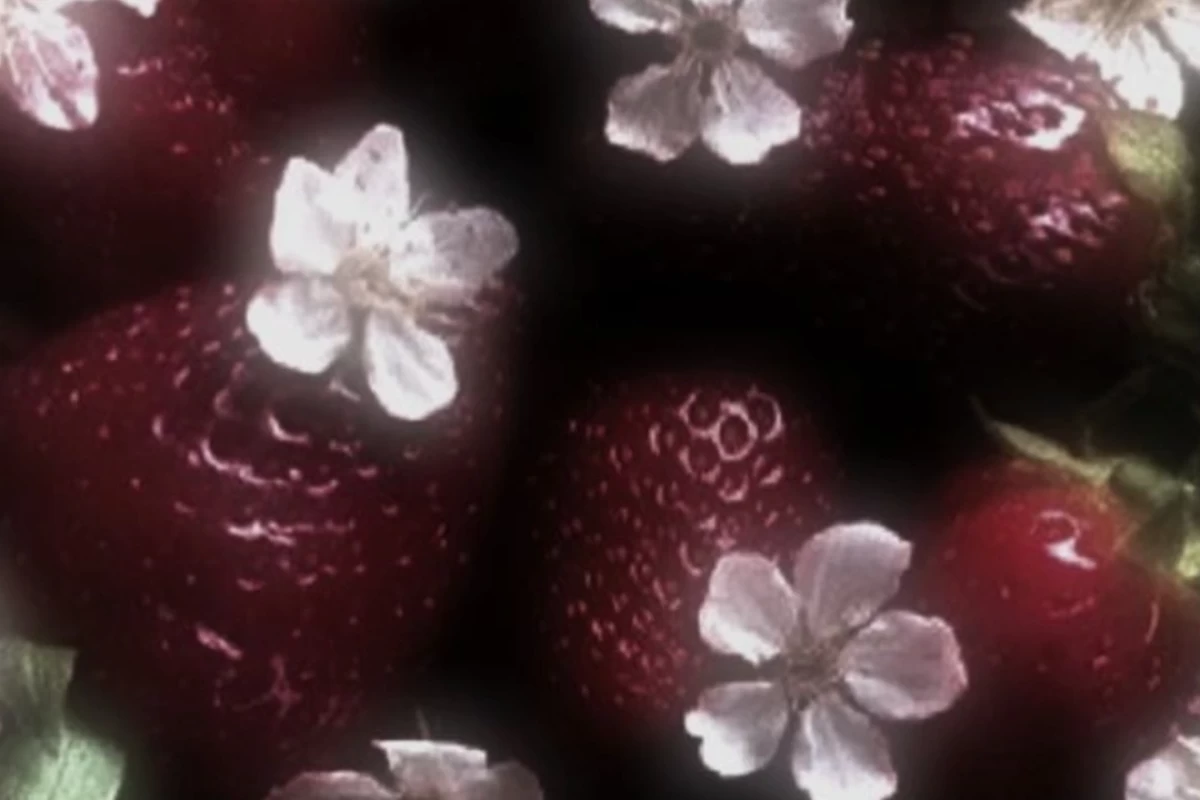عکس 𝄞Ruby
