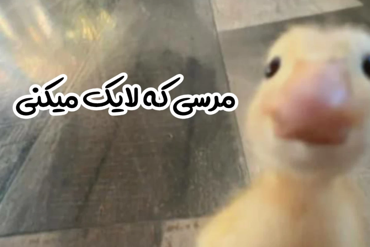 عکس پرامپت های کاربردی