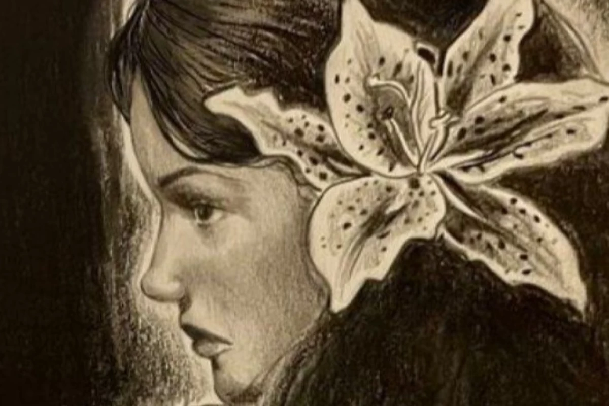 عکس جنگنده ی کوچک;