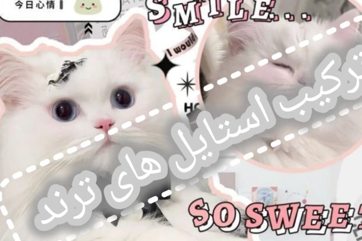 عکس استایل ترکیبی