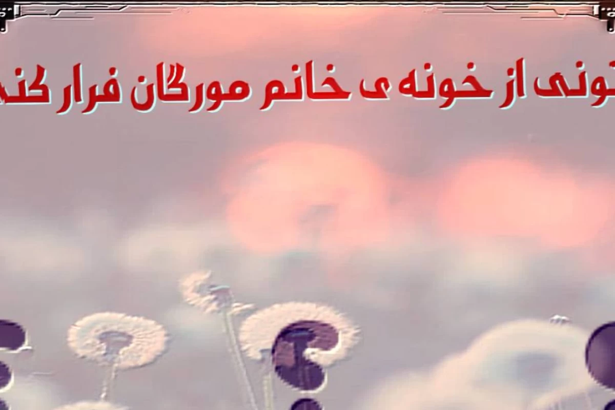 عکس میتونی از خونه ی خانم مورگان فرار کنی؟(p7)
