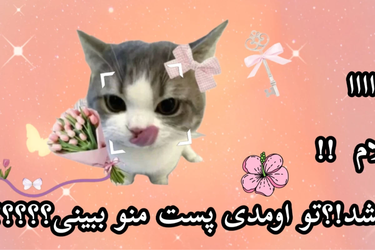 عکس کادر واسه ادیت هاتون
