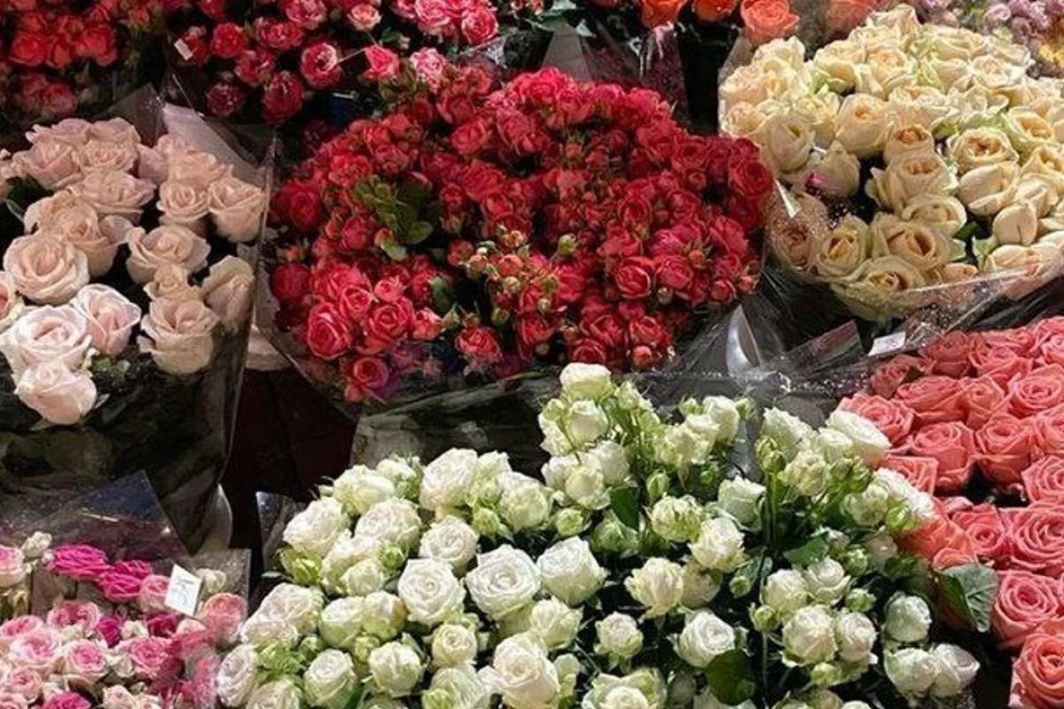 عکس استایل انیمه ای