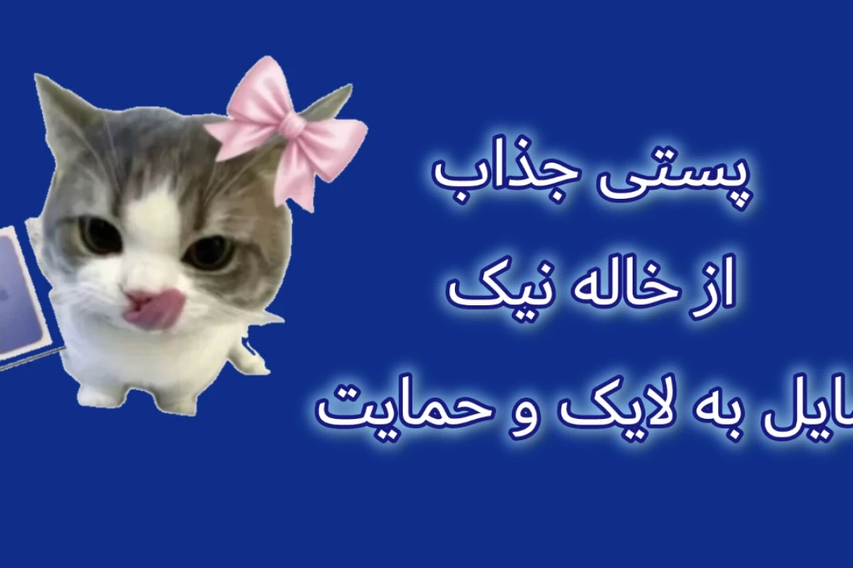 عکس 🍥 : نويسندگان تستچی 2