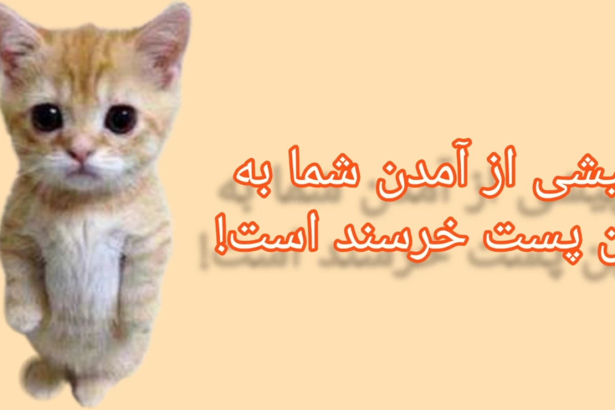 عکس قوانین ننوشته زندگی دانش آموزی!
