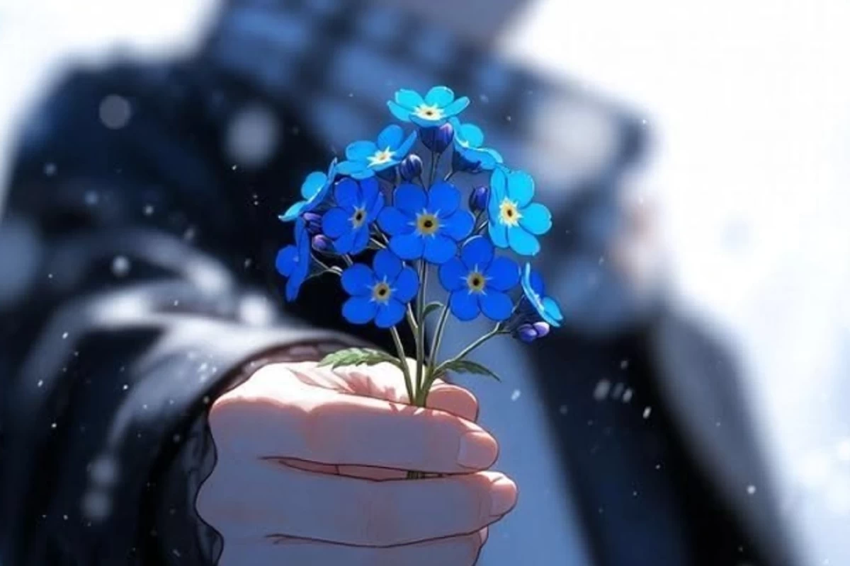 عکس بر بلندی رویا