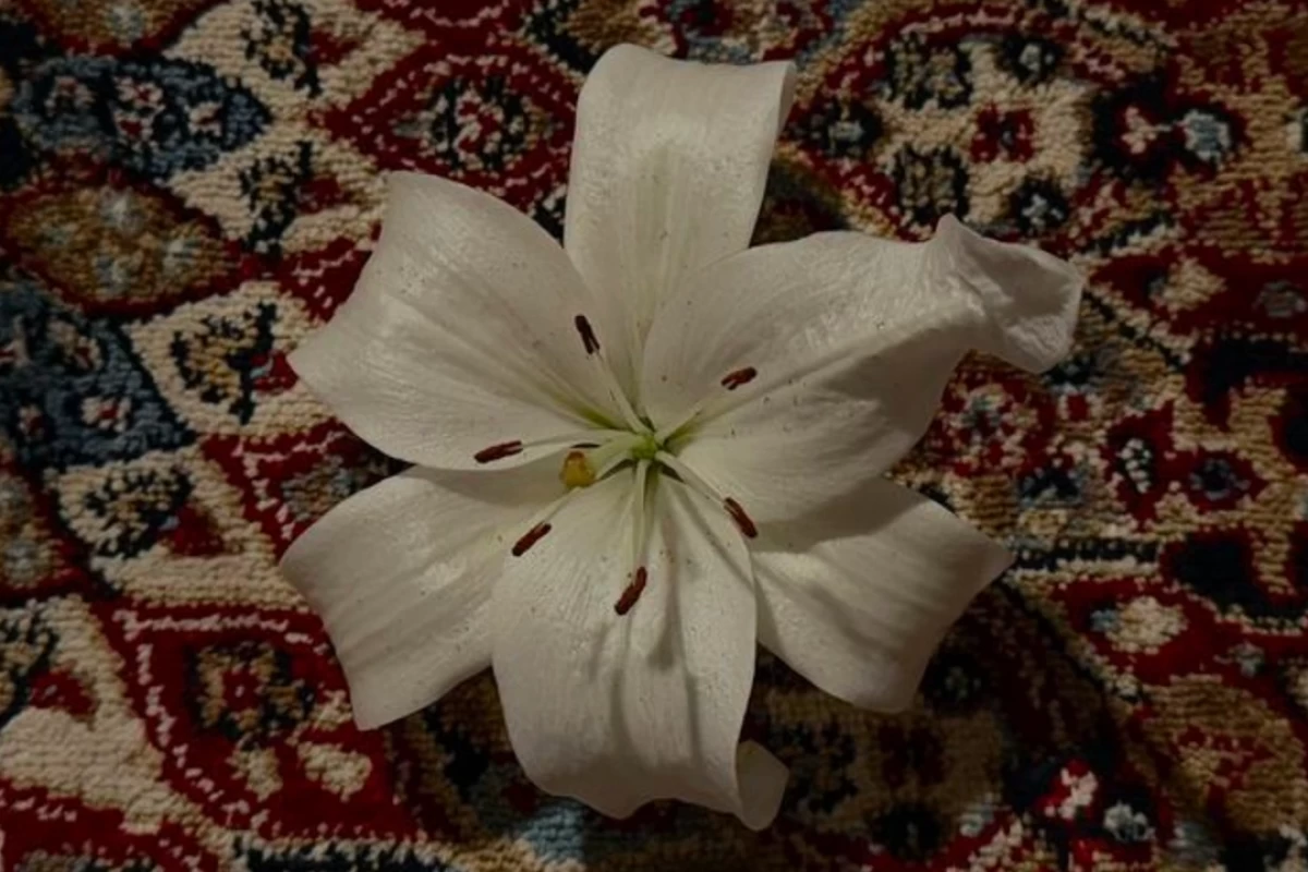 عکس ۴ سرگرمی که برای ساختن یک زندگی متعادل باید داشته باشید³