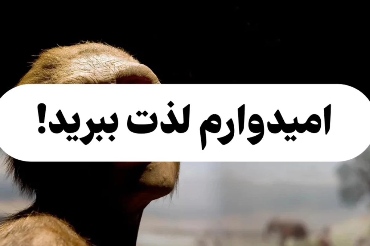 طبقه بندی انسان ها؛ سیر تکامل انسان