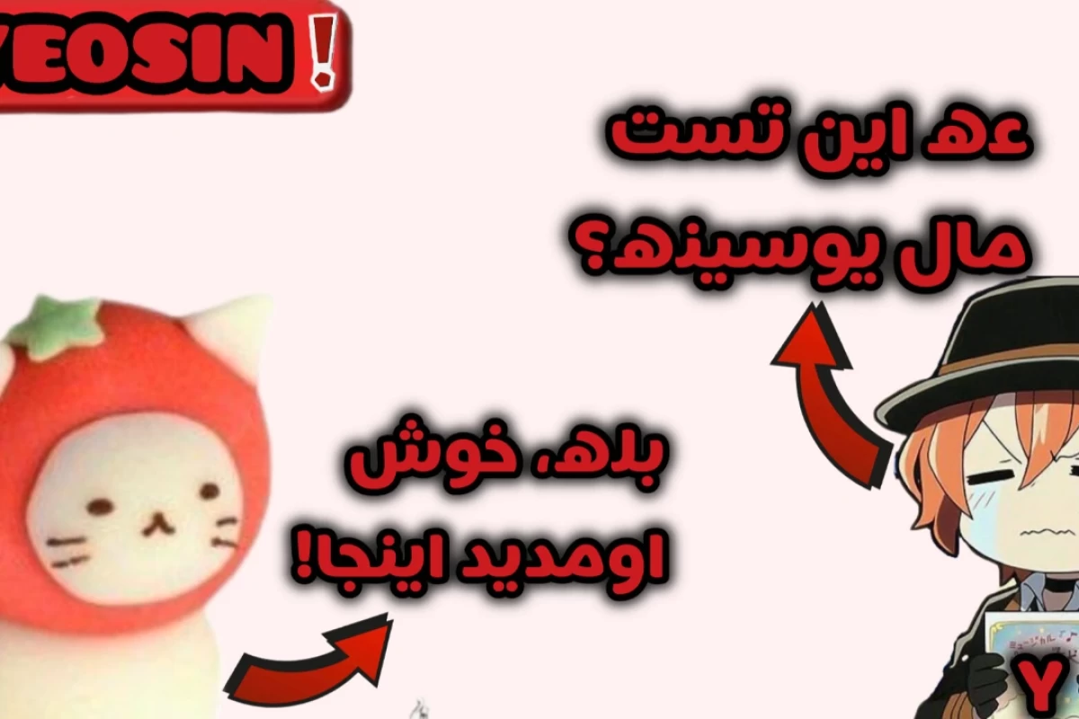 عکس میم اولین ورود یوسین به تستچی؟