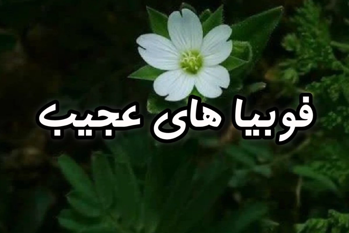 عکس فوبیا های عجیب