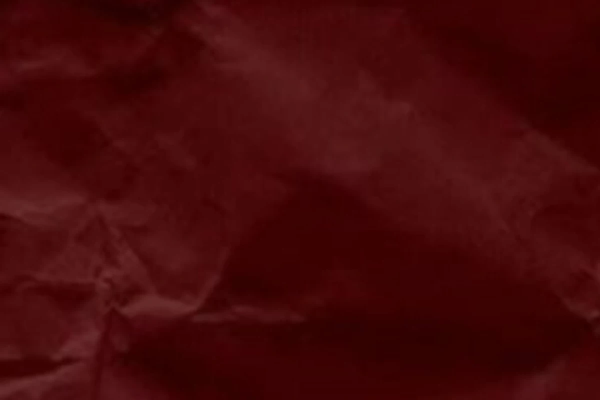 عکس 💬:کارنامه ها اومدن؟