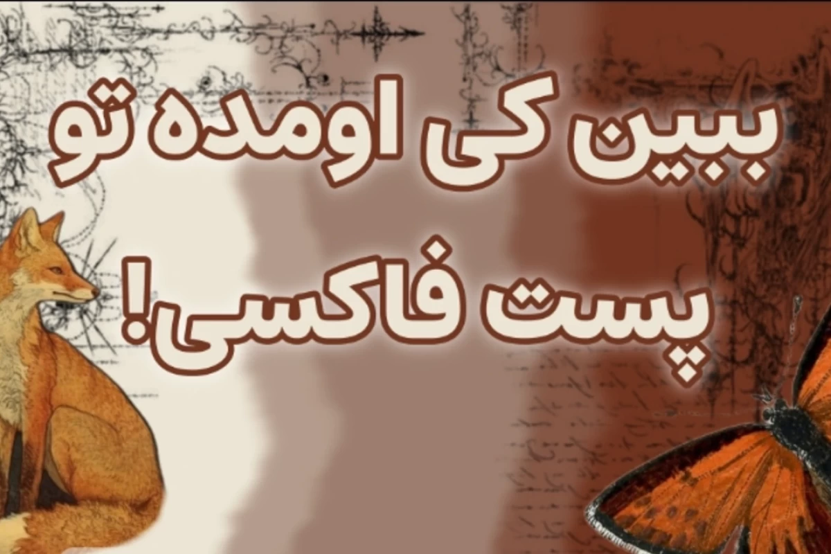عکس {از مشکلات خوشگلی؟