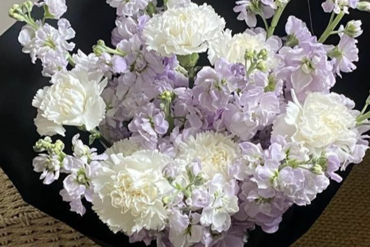 عکس ایده مدل مو