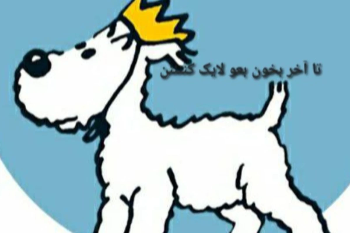 عکس یک شنبه‌ی جوهریییی