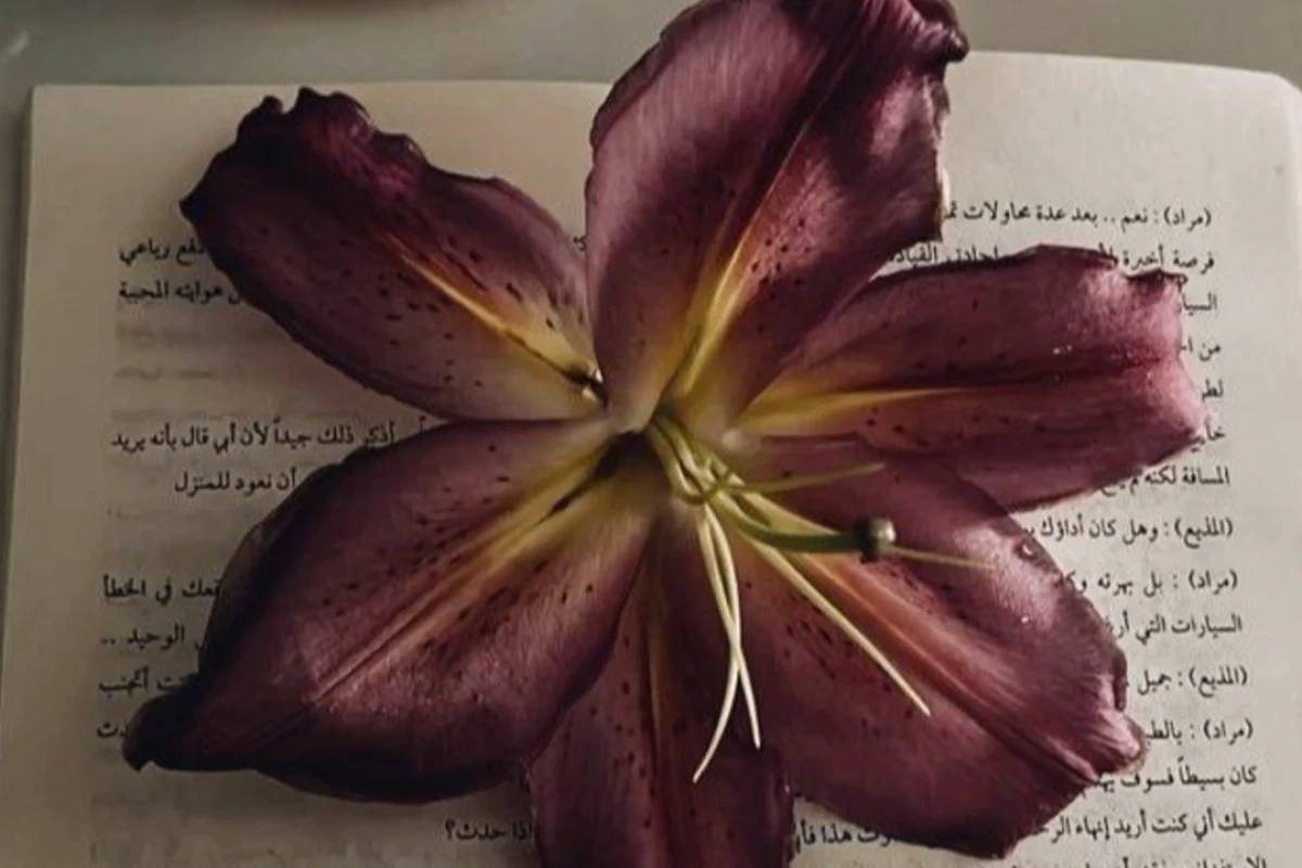 من کی هستم و چطور آدمی هستم!؟