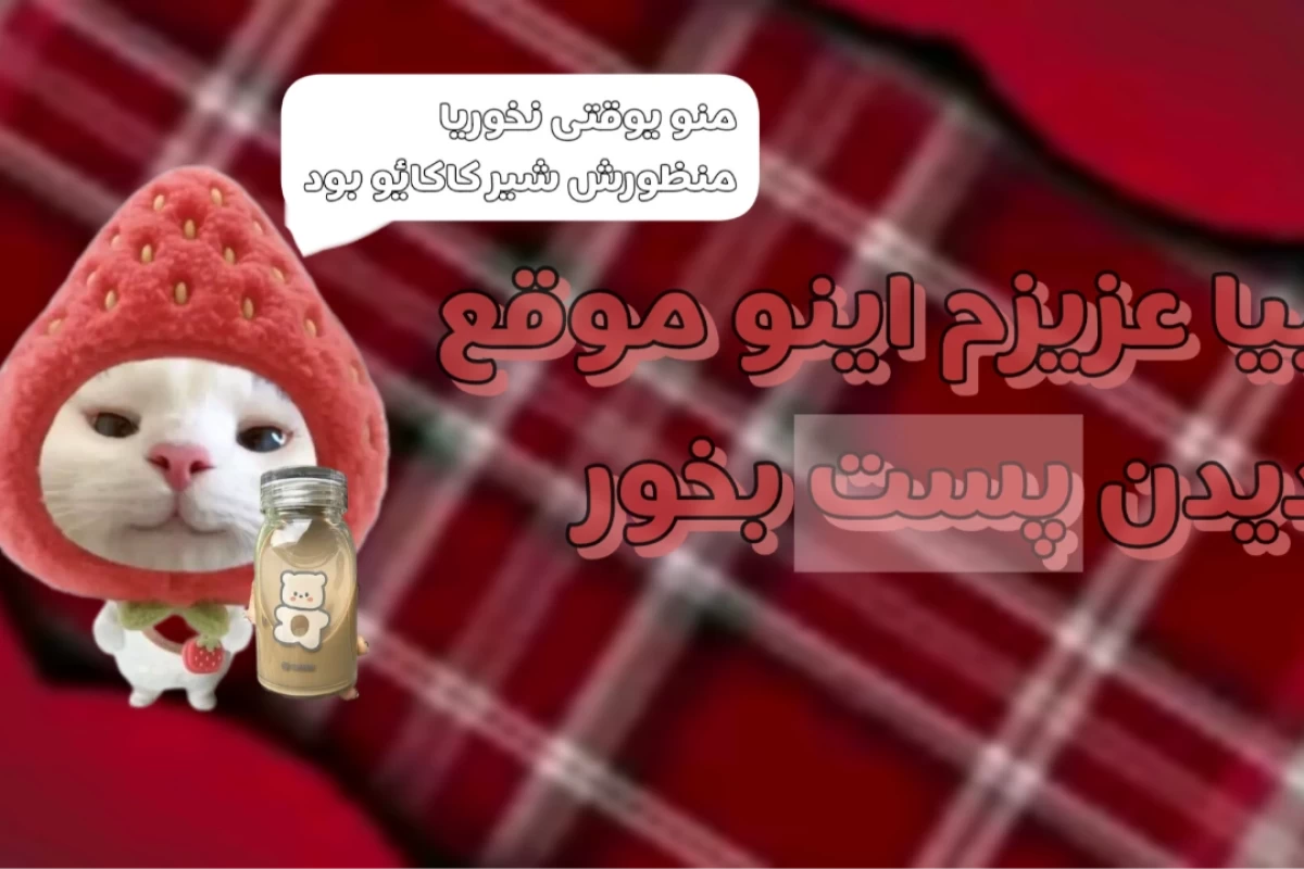 عکس 🧸:ما به خودمون میگیم x عزیزم!